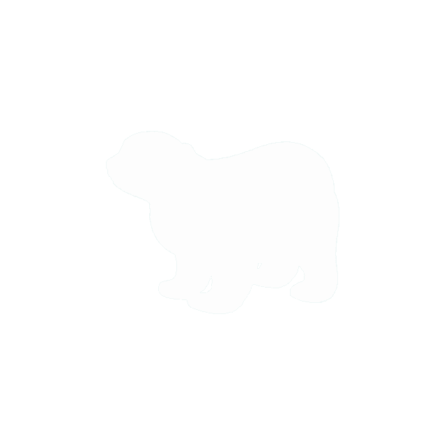Piccolo Orso Polare